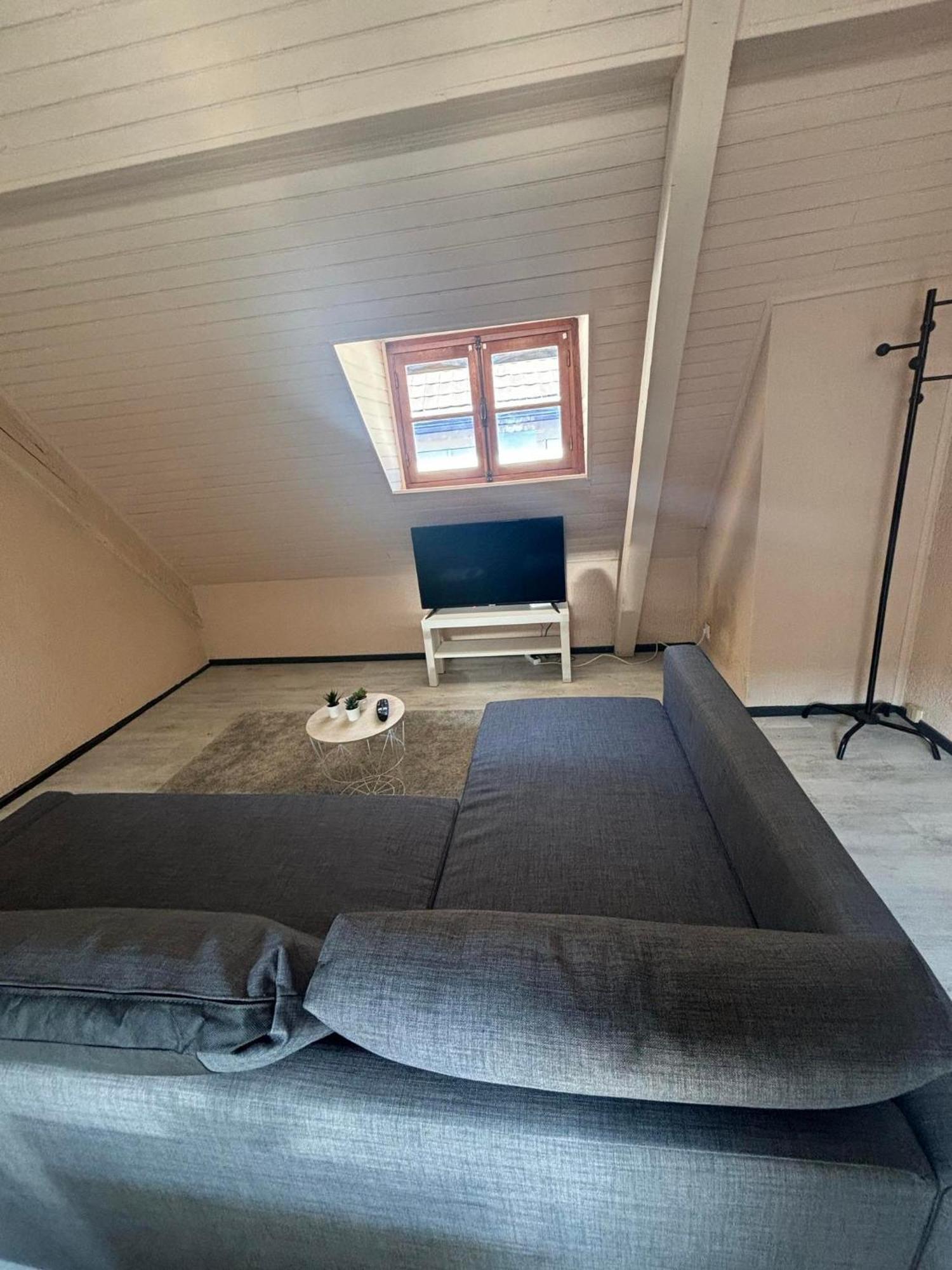 Ferienwohnung Le Merveilleux Soultz-Haut-Rhin Exterior foto